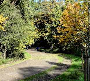 Herbstspaziergang durch den Bürgerpark Bremen