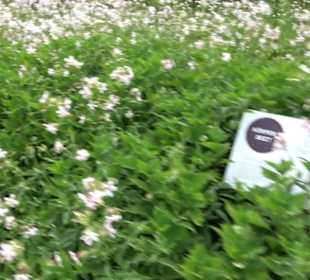 ALB-GOLD Naturgarten