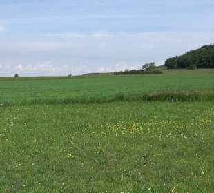 Klimaweg Sonnenalb