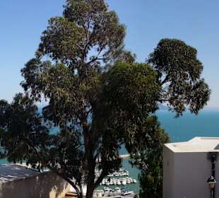 Panorama auf's Mittelmeer in Sidi Bou Said