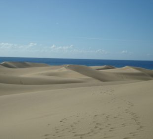 Dünen von Maspalomas