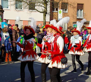 Nürnberger Faschingsumzug 2013