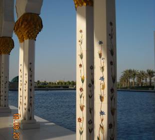 Sheikh Zayed's beauitful huge mosque