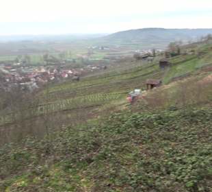 Unterjesinger Wengertwegle