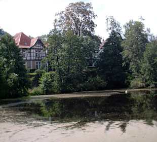 Die grüne Altstadt