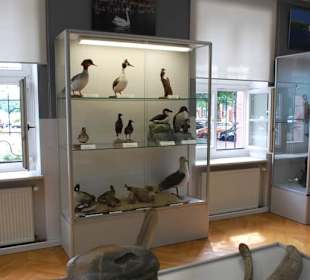 Muzeum Rybołówstwa Morskiego