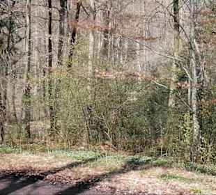Hummelbergweg