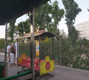 Stadtrundfahrt Alcudia