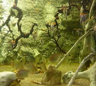 Unterschiedliche Gestaltung 