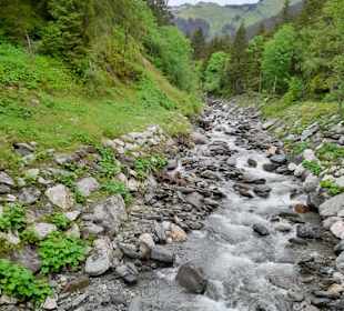 Wandern Donnersbachwald