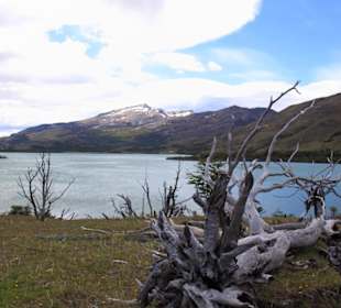 NP Torres del Paine