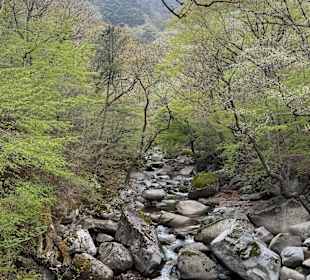 Gayasan-Nationalpark
