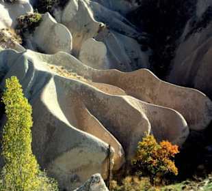 Felsen im Herbstlicht