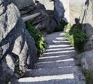 Wandern Neureichenau