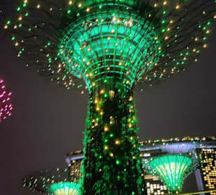 Super Trees bei Nacht 