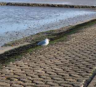 Strand Neuharlingersiel