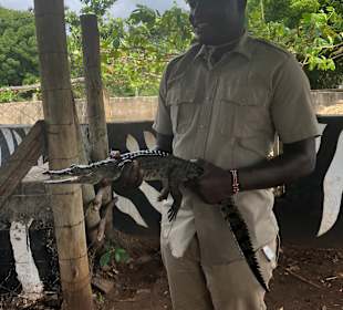 Bora Bora Wildlife Park