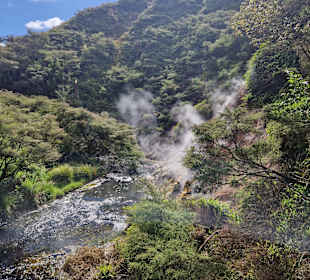 Waimangu Volcanic Valley