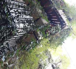 Im Blutgassenviertel