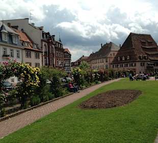 Wissembourg Juni '13