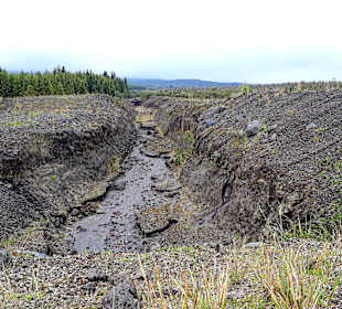 Cotopaxi Nationalpark