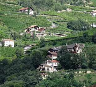 Blick aus der Seilbahn auf die Hänge des Ritten