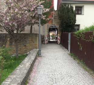 Ludwigstörle