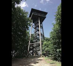 Aussichtsturm Aalbäumle