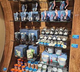 Sealifestore neben Seaquarium