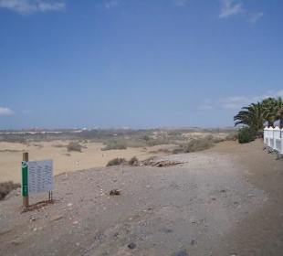 Dünen von Maspalomas