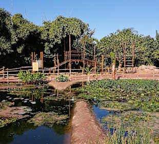 Crocopark