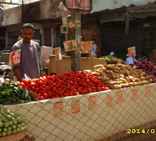 Gurken und Tomaten das kg für 2 Pfund ( 0,20 € )