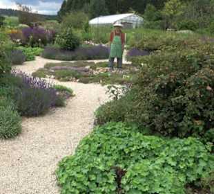 ALB-GOLD Naturgarten