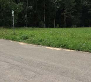 Premiumspazierweg Früchtetrauf-Leisawegle