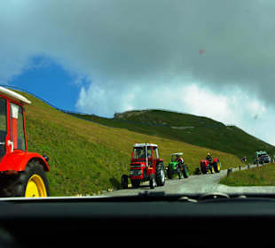 Alle voll freundlich zu den  Fahrern