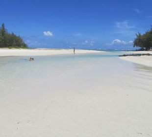 Ile aux cerfs