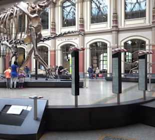 Museum für Naturkunde