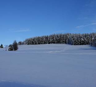 Wandern Neuhaus am Rennweg