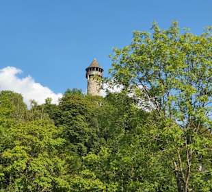 Burg Wildenburg (Hunsrück) - Aussichtsturm