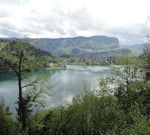 Widok z zamku na okolicę