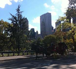 Central Park