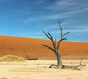 Dead Vlei