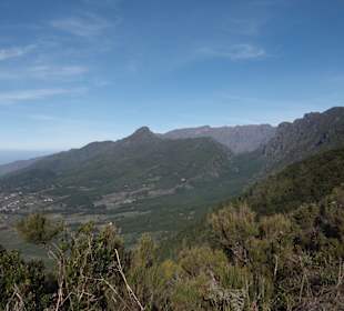 Pico Bejenado