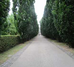 Schloss Azay le Rideau