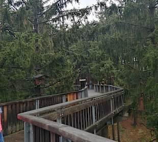 Waldwipfelweg St Englmar/Maibrunn