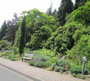 Auf dem Weg zur Walddusche PArk