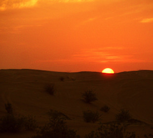Wüstenausflug vom Hotel gebucht