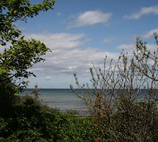 Blick von der Steilküste bei Boltenhagen