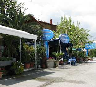 Locals in the port - Kleine Restaurants sind dort