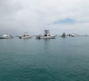 Im Hafen von San Cristobal